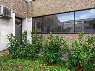 "Büro und Lagerfläche- nahe Laxenburgerstraßel!", 1341.15 €, Immobilien-Gewerbeobjekte in 1230 Liesing