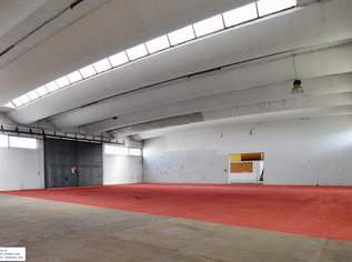 Großzügige Industriehalle in St. Valentin mit Einfahrtstor und überdachter Zufahrt, 6.5 €, Immobilien-Gewerbeobjekte in 4300 Gemeinde Sankt Valentin