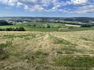 Bad Waltersdorf: Weinberge, Ackerflächen und Wald für experimentierfreudige Winzer oder Landwirte mit Vision