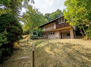 TRAUMHAFTES großes Grundstück in Ruhelage mit viel Potential im sonnigen SÜDHANG, 845000 €, Immobilien-Grund und Boden in 2381 Laab im Walde TRAUMHAFTES großes Grundstück in Ruhelage mit viel Potential im sonnigen SÜDHANG, 845000 €, Immobilien-Grund und Boden in 2381 Laab im Walde