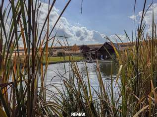 Fischteichanlage mit Infrastruktur & Fischbestand – technisch ausgereifte Anlage in Ruhelage!, 319000 €, Immobilien-Grund und Boden in 8505 Mollitsch Fischteichanlage mit Infrastruktur & Fischbestand – technisch ausgereifte Anlage in Ruhelage!, 319000 €, Immobilien-Grund und Boden in 8505 Mollitsch