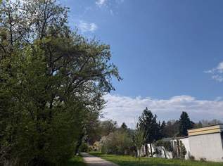 Sanierungsbedürftiges NATURIDYLL in LINZ/Puchenau (BUNGALOW IN U FORM), 450000 €, Immobilien-Häuser in 4048 Puchenau