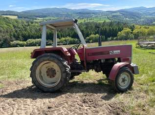 Steyr 40, Bj. 1968, sehr guter Zustand, neue Batterie Steyr 40, Bj. 1968, sehr guter Zustand, neue Batterie