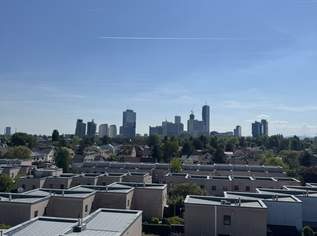 Luxuswohnung mit Dachgarten, Terrasse und Traumblick, 959000 €, Immobilien-Wohnungen in 1210 Floridsdorf