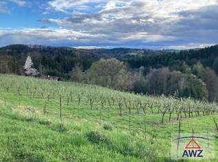 Landwirtschaftliche Fläche: Obstplantagen - Quittenkultur!, 10 €, Immobilien-Grund und Boden in 8333 Altenmarkt bei Riegersburg