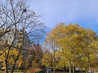 GEPFLEGTE 2-ZIMMER-WOHNUNG MIT LOGGIA & SCHÖNEM AUSBLICK - SEHR GUTE INFRASTRUKTUR, 238000 €, Immobilien-Wohnungen in 1210 Floridsdorf