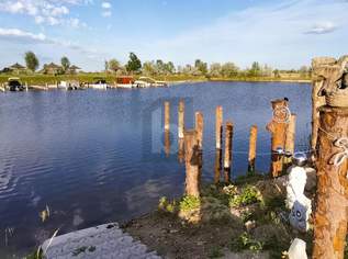 MODERNES WOHNEN MIT DIREKTEM SEEZUGANG - EIGENGRUND, 0 €, Immobilien-Häuser in 7063 Oggau am Neusiedler See MODERNES WOHNEN MIT DIREKTEM SEEZUGANG - EIGENGRUND, 0 €, Immobilien-Häuser in 7063 Oggau am Neusiedler See