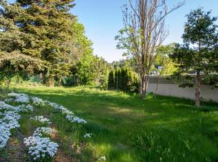 Quality Living mit Blick auf die Weinberge., 1198000 €, Immobilien-Wohnungen in 1190 Döbling