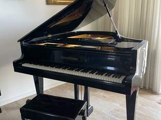 Flügel Grotrian Steinweg 160, 8500 €, Marktplatz-Musik & Musikinstrumente in 1020 Leopoldstadt