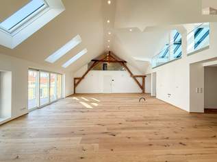 Alte Mühle Baden – Wo historischer Charme auf modernes Penthouse-Design trifft, 1395000 €, Immobilien-Wohnungen in 2500 Gemeinde Baden
