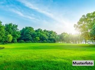 Waldgrundstück, 2750 €, Immobilien-Grund und Boden in 2721 Bad Fischau