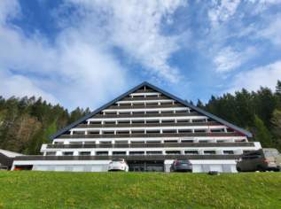 Herrliche Ferienwohnung mit einzigartiger Aussicht!, 199000 €, Immobilien-Wohnungen in 8983 Bad Mitterndorf
