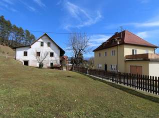 Landhausidylle in St. Radegund – Zwei Häuser, Bauland & Natur pur, 448000 €, Immobilien-Häuser in 9113 Ruden Landhausidylle in St. Radegund – Zwei Häuser, Bauland & Natur pur, 448000 €, Immobilien-Häuser in 9113 Ruden
