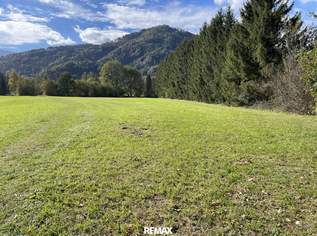 Landwirtschaftliches Wiesengrundstück in Altenmarkt bei St. Gallen zu kaufen,, 67000 €, Immobilien-Grund und Boden in 8934 Altenmarkt bei Sankt Gallen Landwirtschaftliches Wiesengrundstück in Altenmarkt bei St. Gallen zu kaufen,, 67000 €, Immobilien-Grund und Boden in 8934 Altenmarkt bei Sankt Gallen