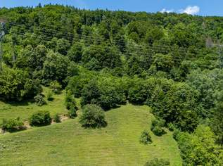Großzügige Waldfläche nahe Thalersee, 63000 €, Immobilien-Grund und Boden in 8051 