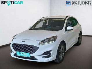 Kuga ST-Line 1,5 EBlue 120PS A8 F, 25900 €, Auto & Fahrrad-Autos in 5322 Gitzen Kuga ST-Line 1,5 EBlue 120PS A8 F, 25900 €, Auto & Fahrrad-Autos in 5322 Gitzen