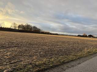 Ebenerdiges Ackerland nahe Ortszentrum Burgkirchen, 522075 €, Immobilien-Grund und Boden in 5274 Burgkirchen Ebenerdiges Ackerland nahe Ortszentrum Burgkirchen, 522075 €, Immobilien-Grund und Boden in 5274 Burgkirchen