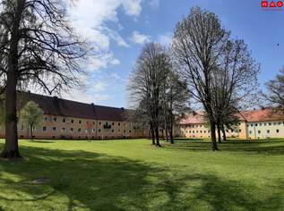 Wohnen im Grünen ohne Kompromisse - beste Infrastruktur inklusive! Gemütliche 2,5-Zimmerwohnung mit cleverer Raumaufteilung ab Sommer verfügbar!, 417.33 €, Immobilien-Wohnungen in 4400 Steyr Wohnen im Grünen ohne Kompromisse - beste Infrastruktur inklusive! Gemütliche 2,5-Zimmerwohnung mit cleverer Raumaufteilung ab Sommer verfügbar!, 417.33 €, Immobilien-Wohnungen in 4400 Steyr