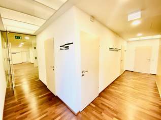Büro/Praxisfläche- in exklusiver Lage zu vermieten, 11179.65 €, Immobilien-Gewerbeobjekte in 1120 Meidling Büro/Praxisfläche- in exklusiver Lage zu vermieten, 11179.65 €, Immobilien-Gewerbeobjekte in 1120 Meidling