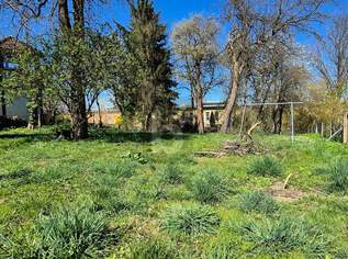 IHR BAUGRUND IM ZENTRUM VON ASCHBACH-MARKT ? SELTENE GELEGENHEIT MIT GESTALTUNGSSPIELRAUM, 170 €, Immobilien-Grund und Boden in 3361 Aschbach-Markt IHR BAUGRUND IM ZENTRUM VON ASCHBACH-MARKT ? SELTENE GELEGENHEIT MIT GESTALTUNGSSPIELRAUM, 170 €, Immobilien-Grund und Boden in 3361 Aschbach-Markt