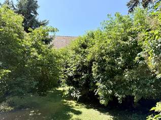 idyllischer verträumter Garten - kein vis-a-vis - einzigartiger Baugrund - 578 m² - Nähe Therme Oberlaa, 537000 €, Immobilien-Grund und Boden in 1100 Favoriten