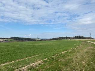 Betriebsbaugrund in gut frequentierter Lage, 688272 €, Immobilien-Gewerbeobjekte in 4753 Taiskirchen im Innkreis