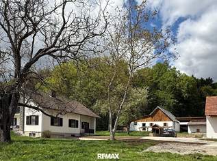 Landwirtschaft, Alleinlage, weitere Grundstückskäufe möglich!, 569000 €, Immobilien-Gewerbeobjekte in 8483 Deutsch Goritz Landwirtschaft, Alleinlage, weitere Grundstückskäufe möglich!, 569000 €, Immobilien-Gewerbeobjekte in 8483 Deutsch Goritz