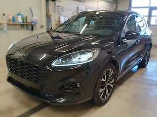 KUGA 2,0 Diesel *ST-Line X*, 17990 €, Auto & Fahrrad-Autos in Niederösterreich KUGA 2,0 Diesel *ST-Line X*, 17990 €, Auto & Fahrrad-Autos in Niederösterreich