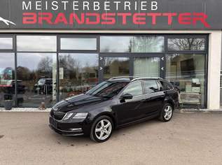 Octavia Combi 2,0 TDI Style Limited 4x4 DSG, 18990 €, Auto & Fahrrad-Autos in 3661 Gemeinde Artstetten-Pöbring