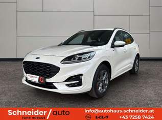 Kuga 2,5 Duratec PHEV ST-Line Aut., 19888 €, Auto & Fahrrad-Autos in 4532 Rohr im Kremstal Kuga 2,5 Duratec PHEV ST-Line Aut., 19888 €, Auto & Fahrrad-Autos in 4532 Rohr im Kremstal