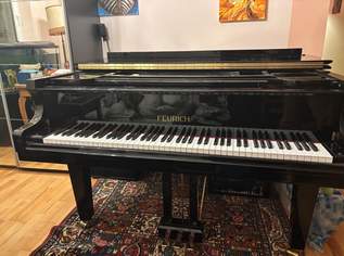 Feurich Flügel Klavier, 8000 €, Marktplatz-Musik & Musikinstrumente in 1130 Hietzing