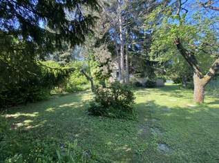 Eigengrund in Langenzersdorf, 495000 €, Immobilien-Grund und Boden in 2103 Langenzersdorf Eigengrund in Langenzersdorf, 495000 €, Immobilien-Grund und Boden in 2103 Langenzersdorf