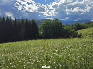 Der perfekte Grundstein für Ihr Zuhause - Ruhig gelegenes Baugrundstück mit idealer Ausrichtung in Steyeregg, 134900 €, Immobilien-Grund und Boden in 8551 Wies Der perfekte Grundstein für Ihr Zuhause - Ruhig gelegenes Baugrundstück mit idealer Ausrichtung in Steyeregg, 134900 €, Immobilien-Grund und Boden in 8551 Wies