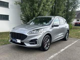Kuga 2,5 Duratec PHEV ST-Line X Aut., 27490 €, Auto & Fahrrad-Autos in 8435 Wagna Kuga 2,5 Duratec PHEV ST-Line X Aut., 27490 €, Auto & Fahrrad-Autos in 8435 Wagna