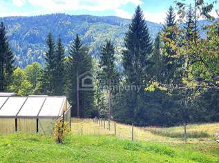 Wohnen direkt am Waldrand mit Panoramablick, 655000 €, Immobilien-Häuser in 8553 Sankt Oswald ob Eibiswald Wohnen direkt am Waldrand mit Panoramablick, 655000 €, Immobilien-Häuser in 8553 Sankt Oswald ob Eibiswald