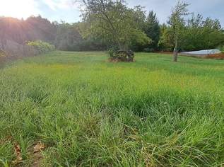 Aufgeschlossen und kein Bauzwang-Ein guter Grund weiterzulesen...., 229000 €, Immobilien-Grund und Boden in 3105 Unterradlberg Aufgeschlossen und kein Bauzwang-Ein guter Grund weiterzulesen...., 229000 €, Immobilien-Grund und Boden in 3105 Unterradlberg