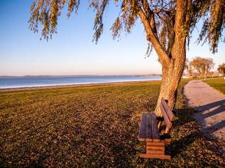 Traumgrund am Neusiedlersee / Schloss Ungarn-Österreich, 48 €, Immobilien-Grund und Boden in 7152 Pamhagen Traumgrund am Neusiedlersee / Schloss Ungarn-Österreich, 48 €, Immobilien-Grund und Boden in 7152 Pamhagen