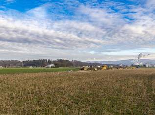 Baulandprojekt Timelkam, 197835 €, Immobilien-Grund und Boden in 4850 Untergallaberg