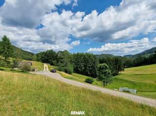 Ruhiges Baugrundstück mitten in der Natur mit eigenem Wald, 70000 €, Immobilien-Grund und Boden in 4294 Sankt Leonhard bei Freistadt Ruhiges Baugrundstück mitten in der Natur mit eigenem Wald, 70000 €, Immobilien-Grund und Boden in 4294 Sankt Leonhard bei Freistadt