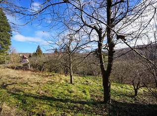 Grundstück mit Panoramablick an der Wiener Stadtgrenze, 560000 €, Immobilien-Grund und Boden in 3001 Gemeinde Mauerbach Grundstück mit Panoramablick an der Wiener Stadtgrenze, 560000 €, Immobilien-Grund und Boden in 3001 Gemeinde Mauerbach