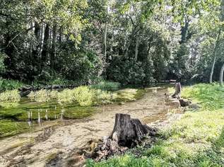 EXKLUSIVE RUHELAGE DIREKT AM WASSER, 790000 €, Immobilien-Grund und Boden in 2490 Ebenfurth