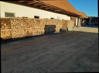 (Eiche,Buche,Esche,Ahorn,Charme,Tanne) Brennholz