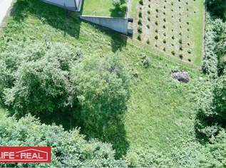 Sonniges Grundstück ohne Bauzwang in Sackgassenlage, 49000 €, Immobilien-Grund und Boden in 4783 Wernstein am Inn Sonniges Grundstück ohne Bauzwang in Sackgassenlage, 49000 €, Immobilien-Grund und Boden in 4783 Wernstein am Inn