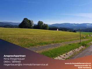 Rarität: Wunderschönes Grundstück mit eigenen Quellenanteil in Wenigzell zu verkaufen!, 97700 €, Immobilien-Grund und Boden in 8254 Kandlbauer