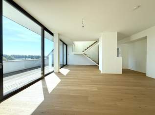 ERSTBEZUG MIT BADESTEG AM WASSER: Ruhelage mit Fernblick über die Donau I großzügige Terrassen & geräumige Wohnküche, 1790000 €, Immobilien-Wohnungen in 1190 Döbling