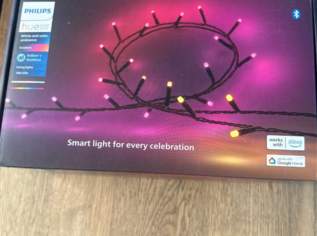 Philips Hue Festavia – 100 LEDs – Neu & OVP – 2 Stück verfügbar, 70 €, Haus, Bau, Garten-Geschirr & Deko in 8010 Graz