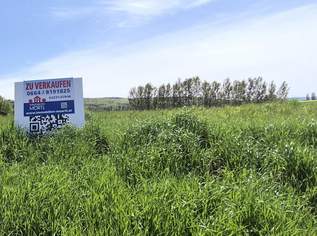 10 EBENE BAUPARZELLEN IN DER NÄHE VON HORN UND MAISSAU, 230000 €, Immobilien-Grund und Boden in 3580 Gemeinde Horn