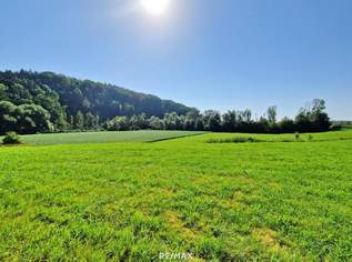 Ihr Unternehmensstandort mit Zukunft – Betriebsbaugrund in Top-Lage, 899000 €, Immobilien-Gewerbeobjekte in 4974 Ort im Innkreis