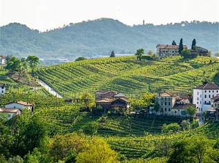 Weinanbaugebiet mit Wohn- und Ferienhaus inklusive Gewölbekeller