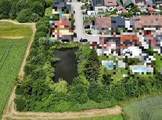 Sonniges Freizeitgrundstück mit idyllischem Teich in begehrter Lage von Wels-Puchberg, 115000 €, Immobilien-Grund und Boden in 4600 Wels Sonniges Freizeitgrundstück mit idyllischem Teich in begehrter Lage von Wels-Puchberg, 115000 €, Immobilien-Grund und Boden in 4600 Wels
